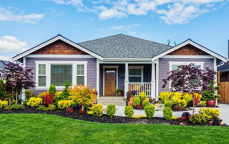 Landscaping, Tree Care & Handyman Services in North Key Largo, FL