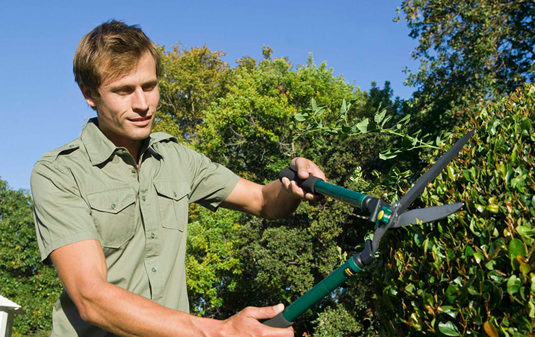 Tree Trimming Services in Key Largo, FL